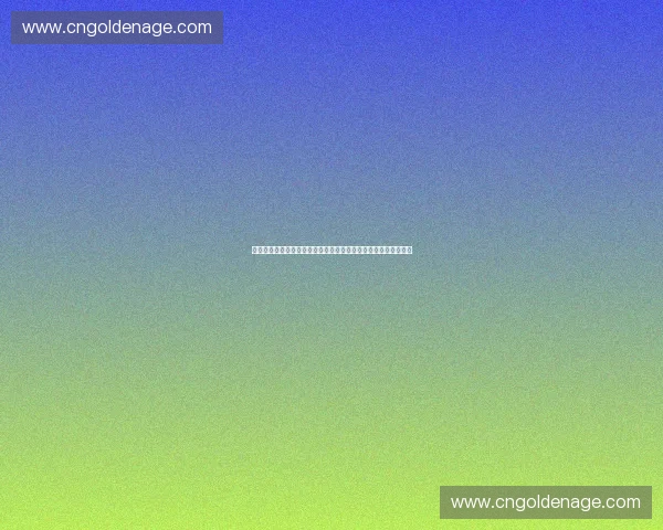 聚焦国际合作赛事推动全球交流与协同创新发展的新平台建设愿景